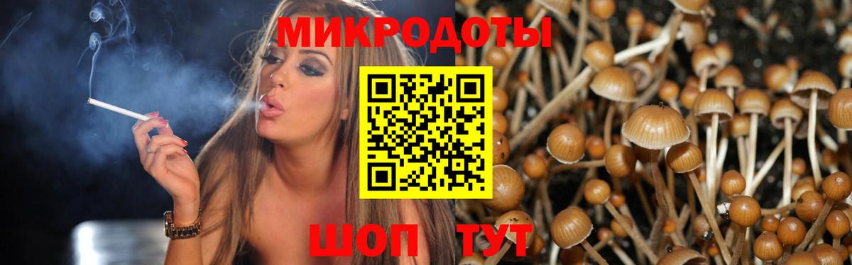Прохладный  Псилоцибиновые грибы Cubensis  Вход с VPN 