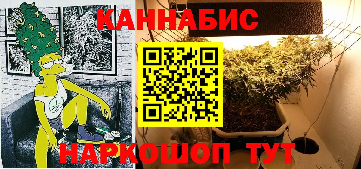 Прохладный  Бошки Шишки OG Kush  Вход с VPN  Конопля сатива  Марихуана Bruce Banner 